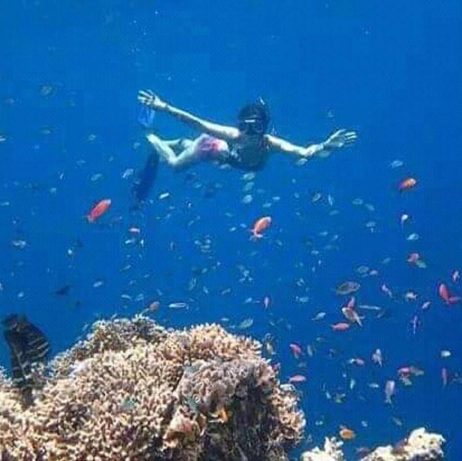 Taman Menjangan Homestay By Snorkelingmenjangan Banyuwedang Εξωτερικό φωτογραφία